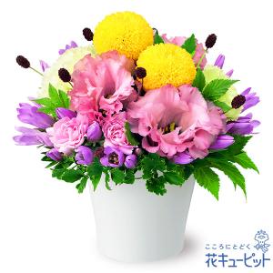 【敬老の日ギフト】花キューピット プレゼント 花...の商品画像