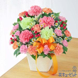 母の日（遅れてごめんね） ギフト プレゼント カーネーション ママ お母さん 誕生日 お祝い 花キューピットのカーネーションのミックスアレンジメント