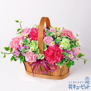 【母の日 プレゼント2024】まだ間に合う 母の日 ギフトカーネーション 60代 70代 花キューピットのハッピー（ピンク）