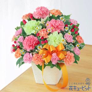母の日 ギフト プレゼント 花 カーネーション 誕生日 60代 70代 花キューピットのカーネーションのミックスアレンジメント