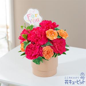 母の日 ギフト まだ間に合う 2023 プレゼント カーネーション