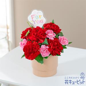 母の日 ギフト まだ間に合う 2023 プレゼント カーネーション