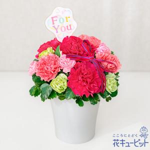 母の日 ギフト まだ間に合う 2023 プレゼント カーネーション