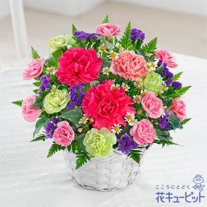 母の日 ギフト まだ間に合う 2023 プレゼント カーネーション