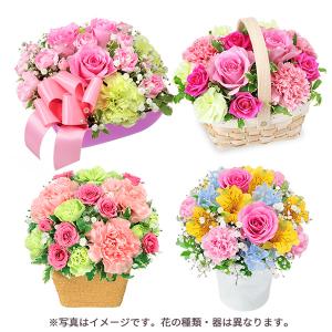 【母の日お花屋さんおすすめギフト】花キューピッ...の詳細画像1