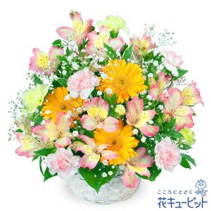 卒園卒業・入園入学祝い お祝い 入学 卒業 就職 退職 記念日 花キューピットのアルストロメリアのアレンジメント