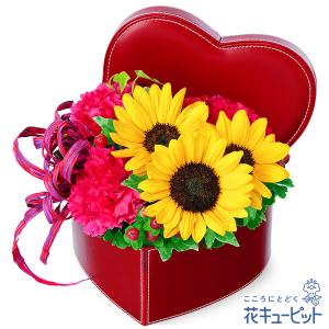 【ひまわり特集】花キューピット お中元 暑中見舞...の商品画像