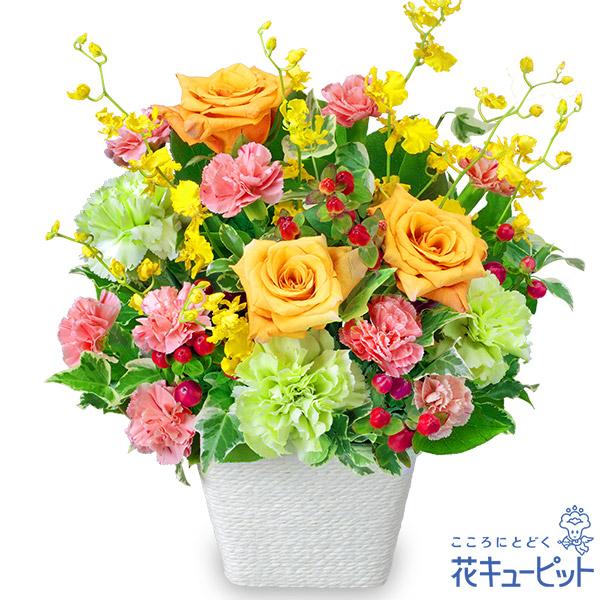 バラ特集 花 プレゼント ギフト 誕生日 花キューピットのオレンジバラの華やかアレンジメント
