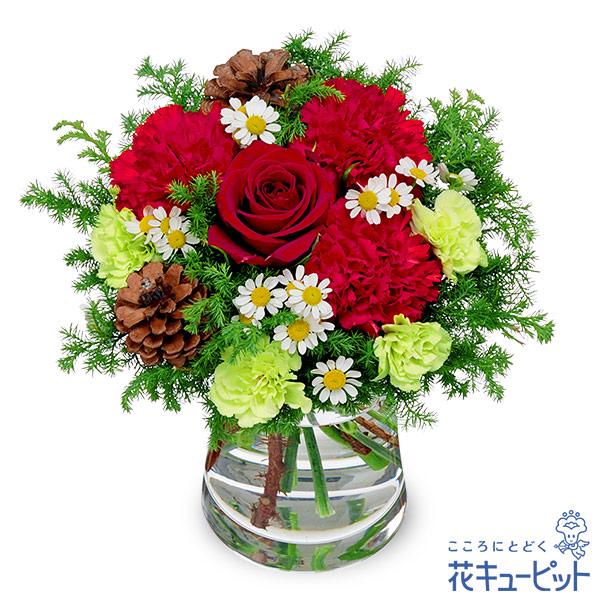 【バラ特集】花キューピット 花 プレゼント ギフト 誕生日 赤バラのウィンターグラスブーケ（花瓶付き...