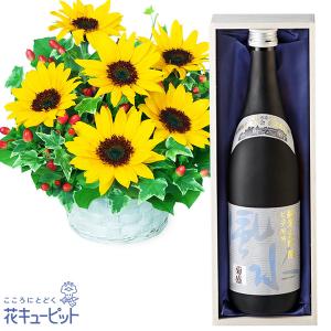 お祝いセットギフト花キューピットのひまわりのアレンジメントと菊盛 ピュア茨城 純米大吟醸「風と水」｜i879