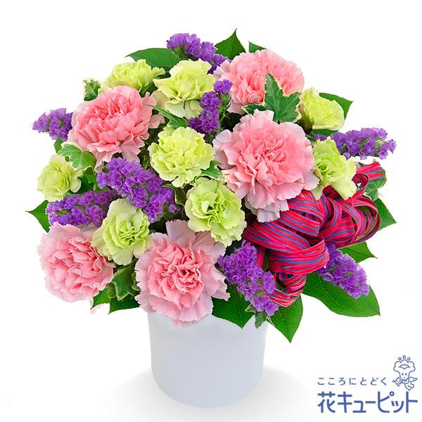 【誕生日フラワーギフト】花キューピット 女性 男性 彼氏彼女 夫妻 父母 ギフト プレゼント ピンク...