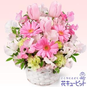 3月の誕生花（ピンクガーベラ等） 誕生日 お祝い 記念日 プレゼント 花キューピットの春のピンクアレンジメント