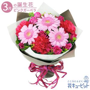 3月の誕生花（ピンクガーベラ） 誕生日 お祝い 記念日 プレゼント 花キューピットのピンクガーベラの...
