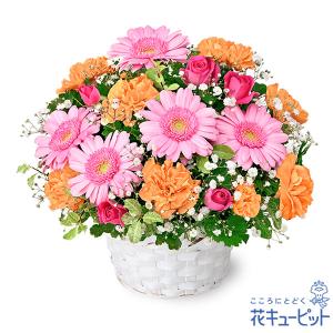 3月の誕生花（ピンクガーベラ） 誕生日 お祝い 記念日 プレゼント 花キューピットのピンクガーベラの...