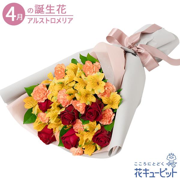 4月の誕生花（アルストロメリア） お祝い 記念日 お礼 誕生日 プレゼント 花キューピットのアルスト...