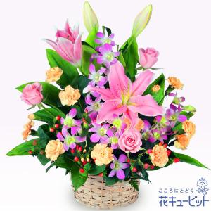 6月の誕生花（ユリ） 誕生日 お祝い 記念日 プレゼント 花キューピットのピンクユリのアレンジメント