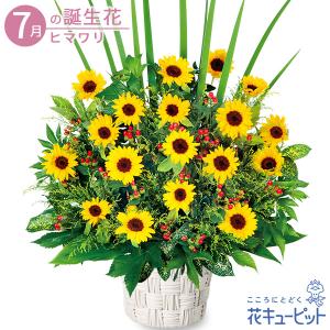 7月の誕生花（ひまわり） 花 ギフト 誕生日 プレゼント花キューピットのひまわりの華やかアレンジメント｜i879