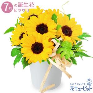 7月の誕生花（ひまわり） 花 ギフト 誕生日 プレゼント花キューピットのひまわりのナチュラルアレンジメント｜i879