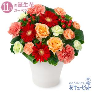 【11月の誕生花(ガーベラ)】花キューピット 女...の商品画像