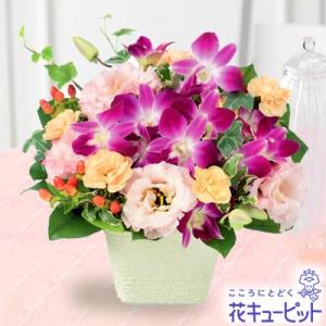 結婚記念日　花キューピットのデンファレとトルコキキョウのアレンジメント