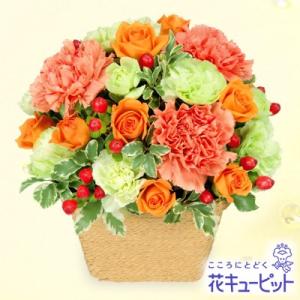 お祝い 花キューピットのオレンジアレンジメント...