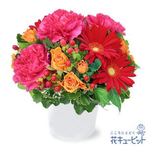 退職祝い 花 ギフト お祝い プレゼント花キューピットの赤ガーベラの鮮やかアレンジメント