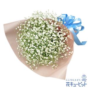 退職祝い 花 ギフト お祝い プレゼント花キューピットのカスミソウの花束｜i879