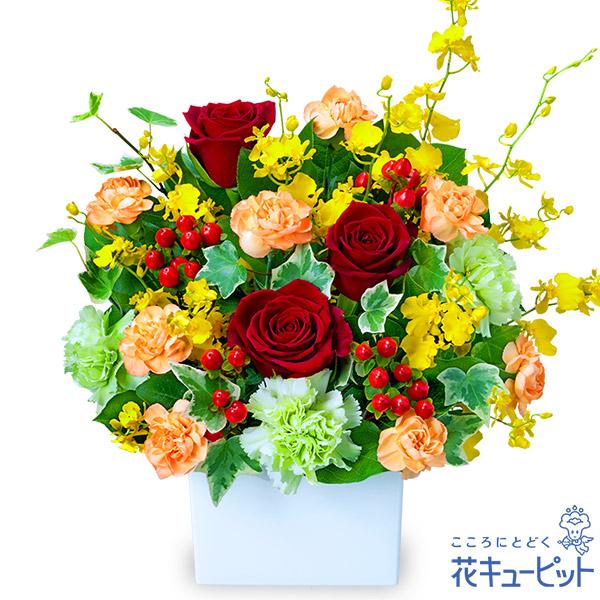 還暦祝い・長寿祝い 花 ギフト 誕生日 お祝い 記念日 花キューピットの赤バラの華やかアレンジメント
