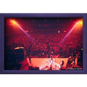 【限定100作品】ディープ・パープル ライヴ・イン・ジャパン(額装付き) ,386mm×569mm(イメージサイズ) ,1972 A