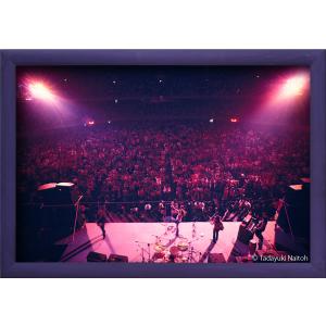【限定100作品】ディープ・パープル ライヴ・イン・ジャパン(額装付き) ,386mm×569mm(イメージサイズ) ,1972 B