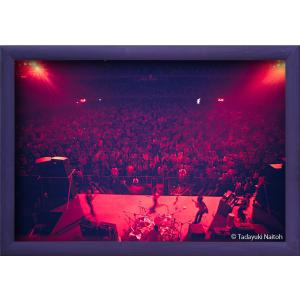 【限定100作品】ディープ・パープル ライヴ・イン・ジャパン(額装付き) ,386mm×569mm(イメージサイズ) ,1972 C