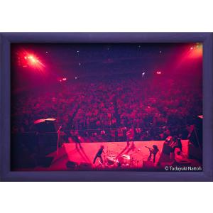 【限定100作品】ディープ・パープル ライヴ・イン・ジャパン(額装付き) ,386mm×569mm(イメージサイズ) ,1972 D