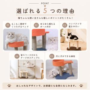 ミニ キャットタワー うお座型 小さめ 子猫 ...の詳細画像2