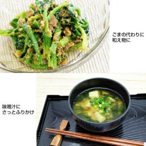 えごまパウダー 15g×5袋入り 送料無料 国...の詳細画像4