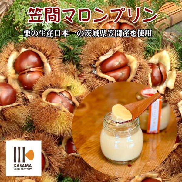 ギフト プリン 笠間マロンプリン ６個セット 送料無料 常温 瓶 栗 洋菓子 スイーツ 長持ち 日持...