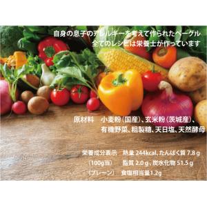 パン ベーグル 冷凍ベーグル 安い 玄米粉 ラ...の詳細画像4