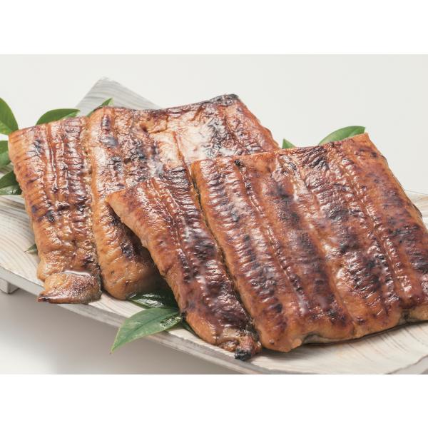 【30％OFFクーポン対象商品】うなぎ蒲焼詰め合わせ　小松屋　茨城県土浦名物　3枚入り　送料込み　