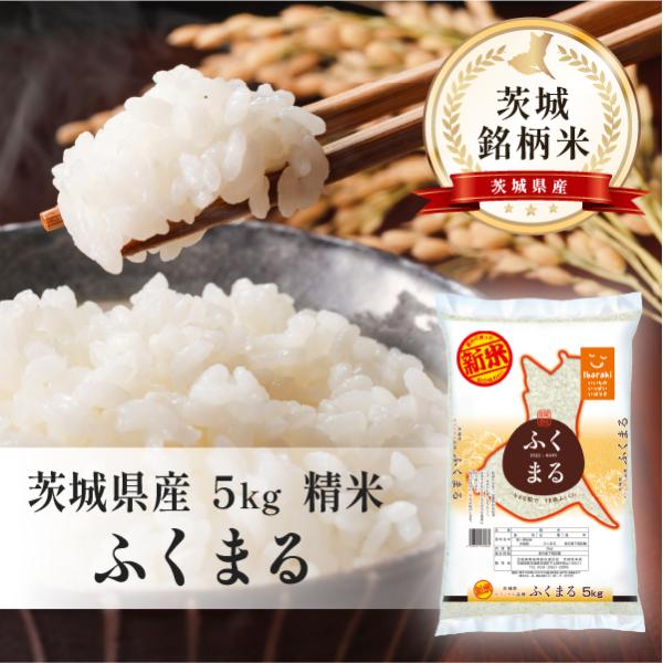 茨城県産　ふくまる　5kg×1袋　令和7年産　茨城銘柄米　精米　白米　お米　茨城県　送料込み　
