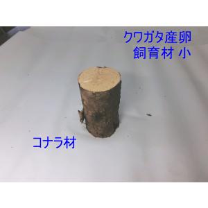 NS1box オオクワガタ 産卵木 コナラ細・...の詳細画像2