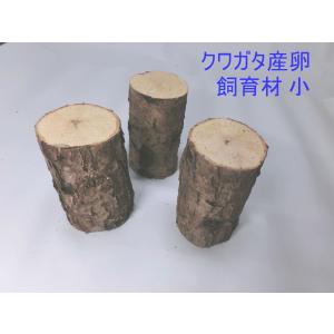 NS1box オオクワガタ 産卵木 コナラ細・...の詳細画像3