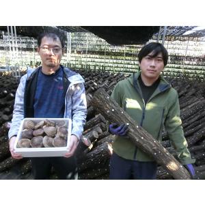 原木しいたけ栽培キットAL2 太め(直径10〜...の詳細画像5