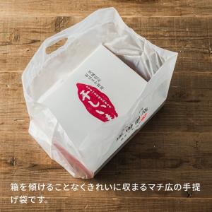 【オプション商品】塚田商店オリジナル手提げ袋 ...の詳細画像4
