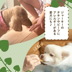【土日祝出荷】ペット用 干し芋 犬用 訳あり ...の詳細画像3