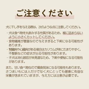 【土日祝出荷】ペット用 干し芋 犬用 訳あり ...の詳細画像5