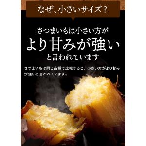冷凍 訳あり 焼き芋 1000g 送料無料 茨...の詳細画像5