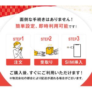 データ専用 simカード 10GB 30日間 ...の詳細画像2