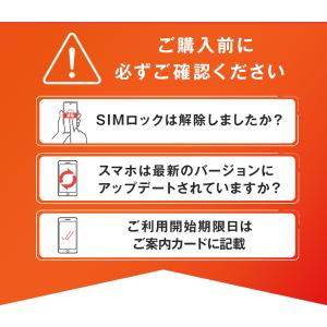【24時間内QR送信】日本データ専用 eSIM...の詳細画像4