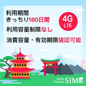 日本docomoプリペイドデータ専用SIM 10GB/15GB/20GB/30GB+最大256Kbps