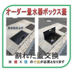 【ジャストサイズ蓋】量水器ボックス　鉄蓋　水道メーター 蓋　鉄製　縞鋼板製　黒吹付塗装仕上げ（鉄枠用...