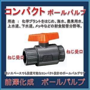 日本製 高品質製品】 前澤化成工業 塩ビボールバルブ 樹脂製 VBCN 30